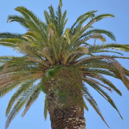 Apartments Dida * Спліт