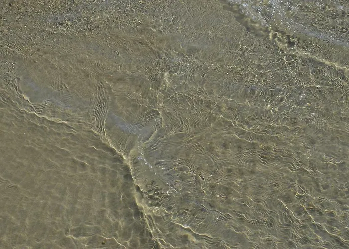 아파트 Apartments Dida