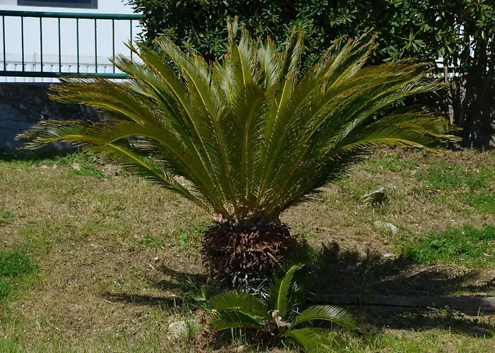 Apartments Dida 아파트 스플리트