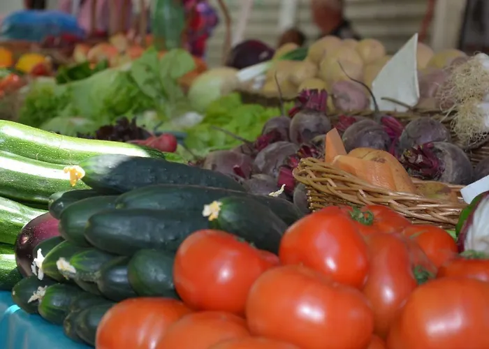 아파트 Apartments Dida *