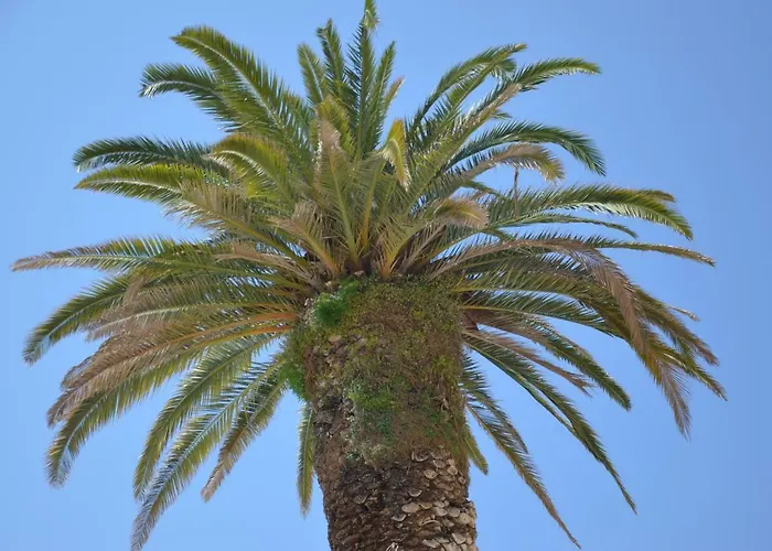 Apartments Dida * 스플리트