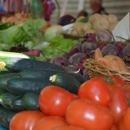 Apartmán Apartments Dida *