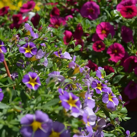 Apartmán Apartments Dida Split